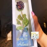 براوز الورده الواحده