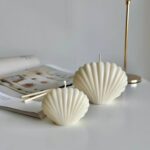 قالب الصدفه الكامله متاح حجمين حاليا