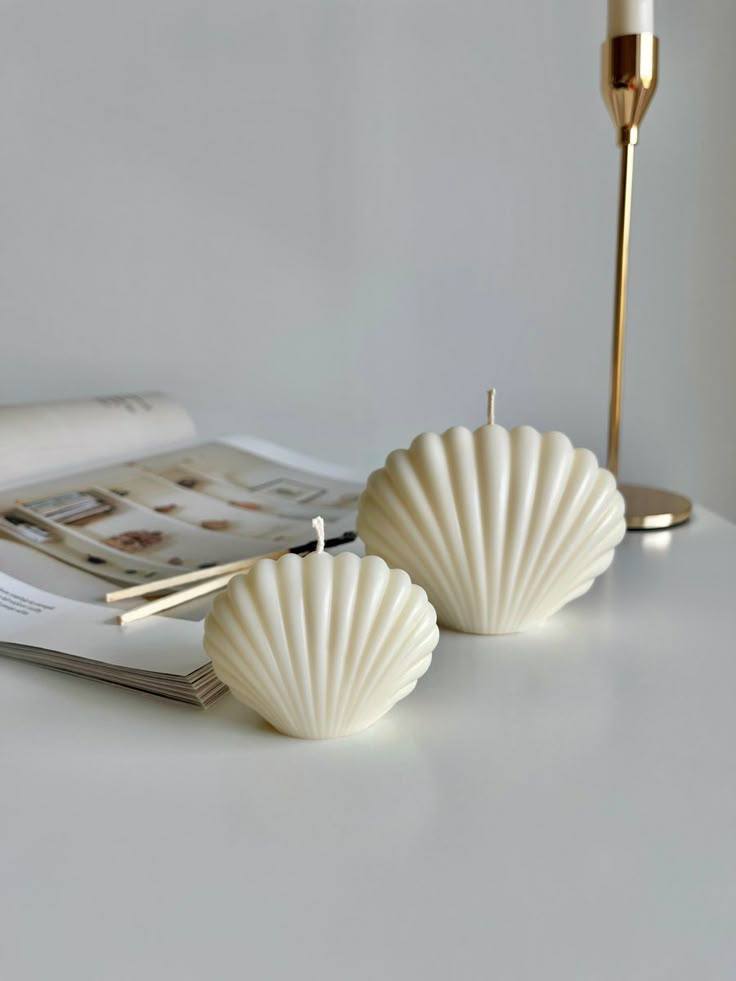 B19 قالب الصدفه الكامله متاح حجمين حاليا - الصورة 1