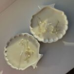 قالب صدفه البحر