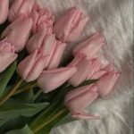 عطر ورد التوليب حجم كبير ٢٥٠جرام