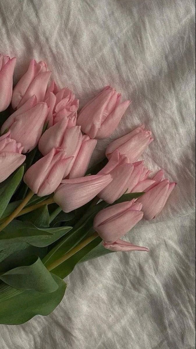 H1 عطر ورد التوليب حجم كبير ٢٥٠جرام - الصورة 1