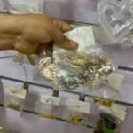 صدف بحر